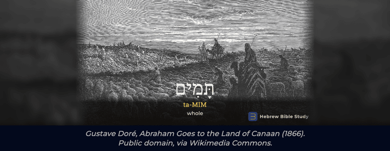 Tamim: the Hebrew behind "be perfect" in Genesis 17:1
